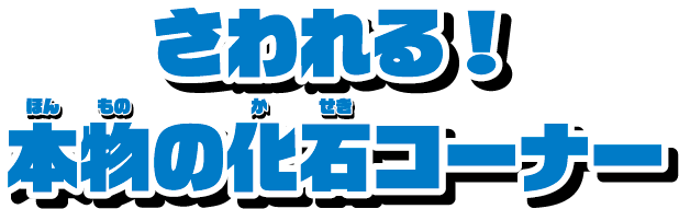 さわれる！本物の化石コーナー